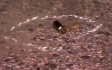 Trúng 16 phát đạn vẫn đi bộ 3 km đến bệnh viện