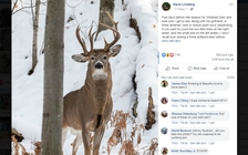 Kỳ lạ con nai 3 sừng '3 triệu mới có một' ở Mỹ