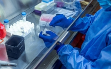 Tin tặc từ nước đối địch tìm cách đánh cắp nghiên cứu về Covid-19 của Anh