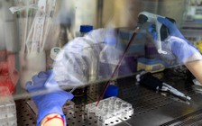 Trung Quốc dự kiến có vắc xin Covid-19 vào cuối năm