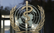 Vì bất hòa với Mỹ, Đức và Pháp rút khỏi đối thoại cải cách WHO