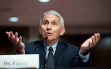 Chuyên gia y tế mâu thuẫn với chiến dịch tranh cử của Tổng thống Trump