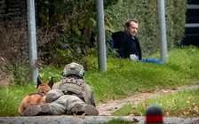 Kẻ sát hại nhà báo Thụy Điển trên tàu ngầm bị bắt sau khi vượt ngục