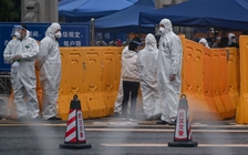 WHO: thông tin Covid-19 không bắt nguồn từ Trung Quốc chỉ là suy đoán