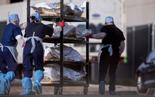 Cố vấn đầu ngành thừa nhận số liệu người chết vì Covid-19 tại Mỹ thấp hơn thực tế