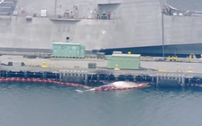 Tàu chiến Úc đâm chết hai mẹ con cá voi thuộc nhóm nguy cấp?