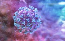 WHO đặt tên biến chủng SARS-CoV-2 bằng chữ cái Hy Lạp để tránh kỳ thị