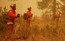 Khói cháy rừng làm gia tăng nhiễm, tử vong vì Covid-19?
