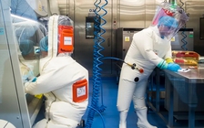 SARS-CoV-2 được 'dạy' để lây nhiễm trên người ?