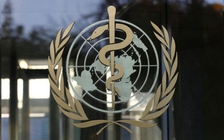 WHO điều tra thông tin giám đốc khu vực phân biệt chủng tộc với nhân viên