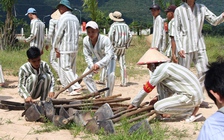 Thượng tướng Tô Lâm: ‘Xử lý kịp thời các hành vi tra tấn’