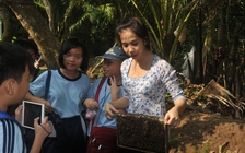 Trường THCS Nguyễn Văn Tố dự kiến tuyển 270 học sinh lớp 6