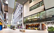 Nhiều suất học bổng từ các trường đại học New Zealand