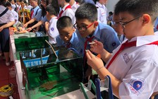 Học sinh lớp 1 và lớp 6 ở Quận 3 được phân tuyến thế nào?