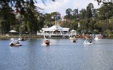 Hơn 132.000 lượt khách đến Đà Lạt dịp Tết Tây