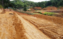 Bí thư và chủ tịch xã bị cảnh cáo vì để xảy ra lấn chiếm đất rừng