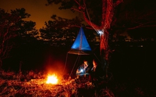 Du khách không được cắm trại dã ngoại 'chui' trong rừng ở Lâm Đồng