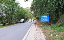 Lâm Đồng cần chuyển đổi hơn 5.814 ha rừng để thực hiện các dự án