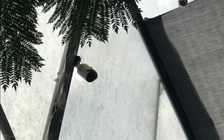 Lắp camera phòng ngủ của khách, một cơ sở lưu trú ở Đà Lạt phải xin lỗi