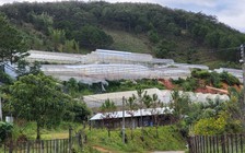 Lâm Đồng lấy ý kiến đề án quản lý nhà kính