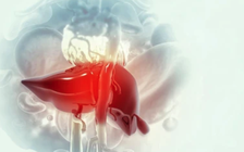 TP.HCM tăng cường phát hiện trẻ em bị viêm gan cấp