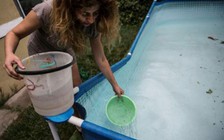 Lũ lụt tại Chile, 4 triệu dân thủ đô không có nước sạch