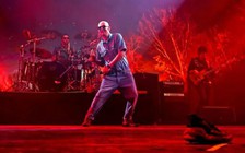 Giẫm đạp gây thương vong tại buổi trình diễn nhạc rock ở Argentina