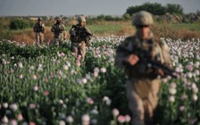 Nhân viên sứ quán Mỹ tại Afghanistan bị sa thải vì dùng ma túy