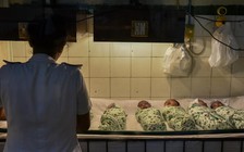 8 trẻ sơ sinh tử vong trong một ngày tại bệnh viện Ấn Độ