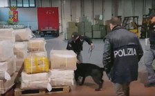 Ý triệt phá băng mafia Trung Quốc lộng hành châu Âu