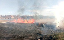 Ukraine bác tin cháy rừng làm tăng hàm lượng phóng xạ gần Chernobyl