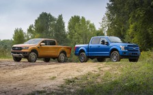 Ford Ranger và F-150 có thêm gói nâng cấp mới