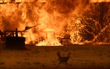 Cháy rừng ở California, trên 82.000 người được lệnh sơ tán