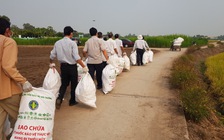 Thu gom hơn 60.000 kg bao bì thuốc bảo vệ thực vật