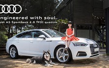 Audi Việt Nam triệu hồi Audi A6 vì lỗi túi khí