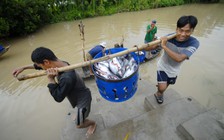 Thuế chống bán phá giá cá tra lần thứ 14 tăng cao