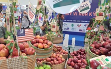 Giật mình khi Việt Nam nhập khẩu 40.000 tấn táo Mỹ
