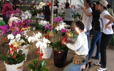 Nóng - lạnh thị trường hoa tết