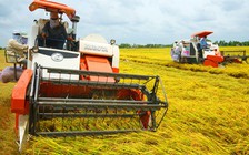 Áp dụng công nghệ viễn thám địa lý vào nông nghiệp