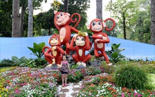 Ngỡ ngàng với cây kiểng độc lạ tại Hội Hoa Xuân TP.HCM