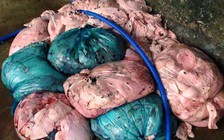 550/1.900 mẫu thực phẩm không đạt yêu cầu vệ sinh thực phẩm