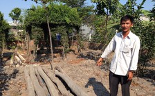 Viện KSND tối cao yêu cầu báo cáo vụ “chòi vịt”