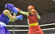 Day dứt thể thao Việt Nam: Đấu võ chỉ được mua bảo hiểm... 50.000 đồng