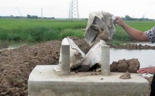 Điện lực nói “không chịu trách nhiệm” vụ trụ bê tông có đất