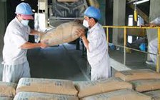 Tiêu thụ xi măng 6 tháng tăng 15%