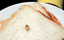 Tá hỏa phát hiện răng bị ‘bỏ quên’ trong bánh mì