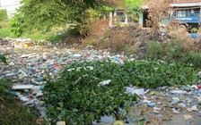 Biên Hòa dọn rác chống ngập