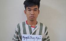 Bắt nghi can gây hàng loạt vụ cướp giật tài sản của phụ nữ