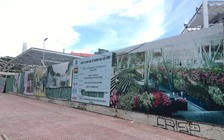 Hồi sinh dự án 'chết'