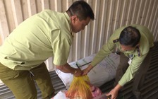 Phát hiện hơn 500kg nội tạng bò không rõ nguồn gốc